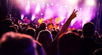 长春音乐节爆料视频最新,精彩瞬间盘点！  第2张